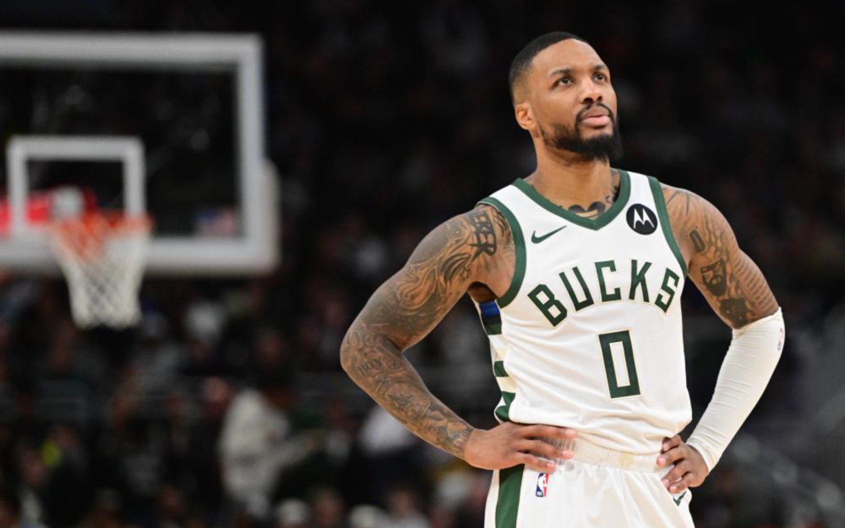 好地融入马 好地融入马